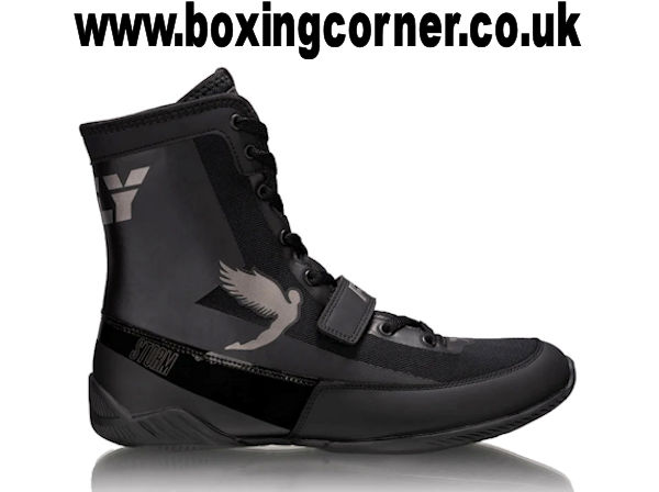 Fly Storm Boxing Boots Black and Silver
